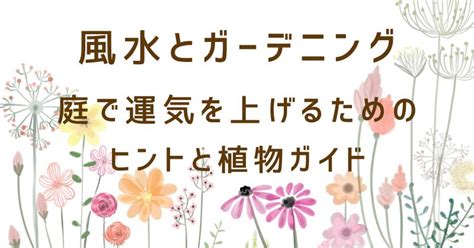 風水 庭|風水とガーデニングの融合: 庭で運気を上げるためのヒントと植。